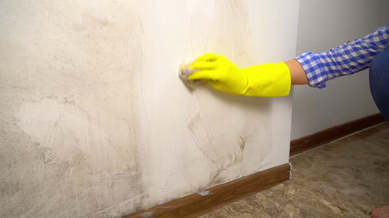 Best Air Quality Testing for Mold Spores  in Evergreen, AL